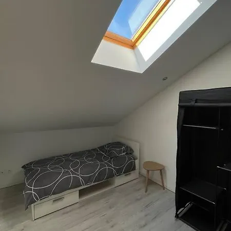 Chaleureux Et Spacieux * Thaon-les-Vosges