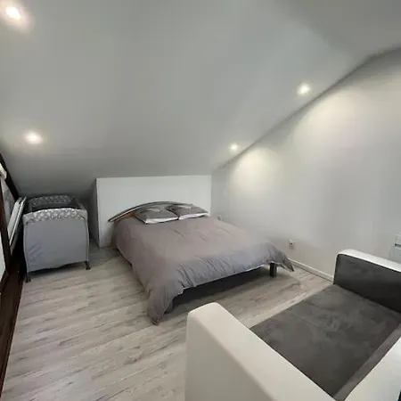 Apartment Chaleureux Et Spacieux *