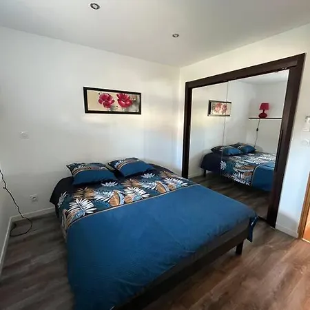 Chaleureux Et Spacieux Apartment